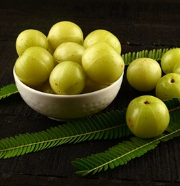 winter diet advice:interview with NDTV